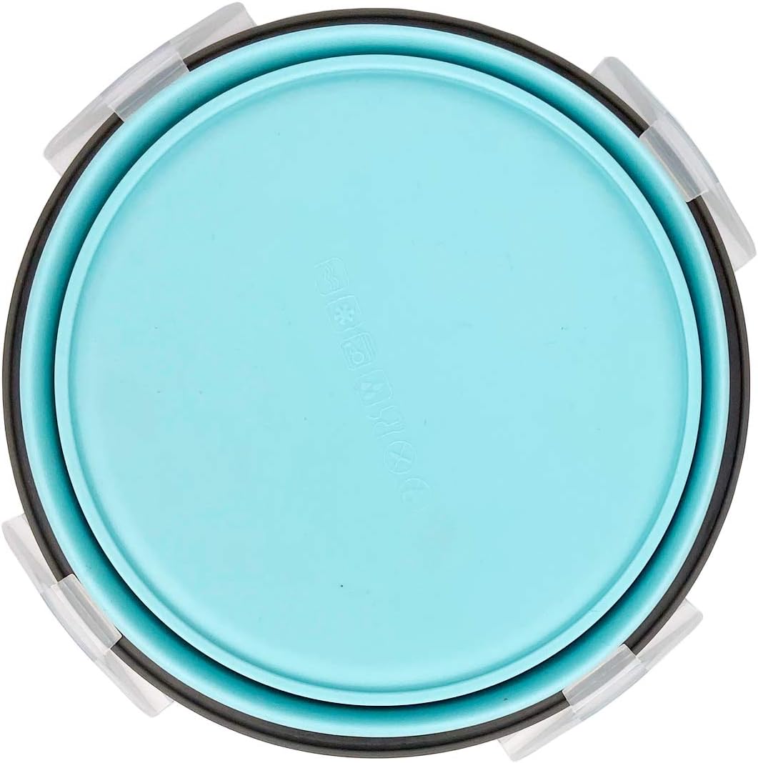 CARTINTS 1200ml Large Collapsible Meal Prep Containers, Reusable Silicone Food Storage Containers, Stackable Fridge Storage Containers, With Leakproof Lids, Microwave and Freezer Safe, Blue