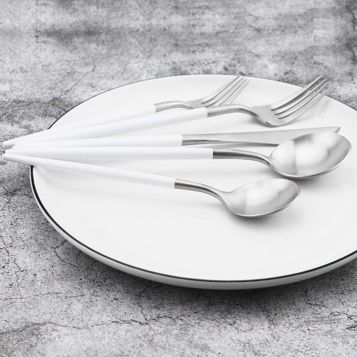 Gugrida 5-Piece Matte Silver Stainless Steel Satin Finish Flatware Set - Dishwasher Safe, Perfect for Camping, Office Lunch or Home Use