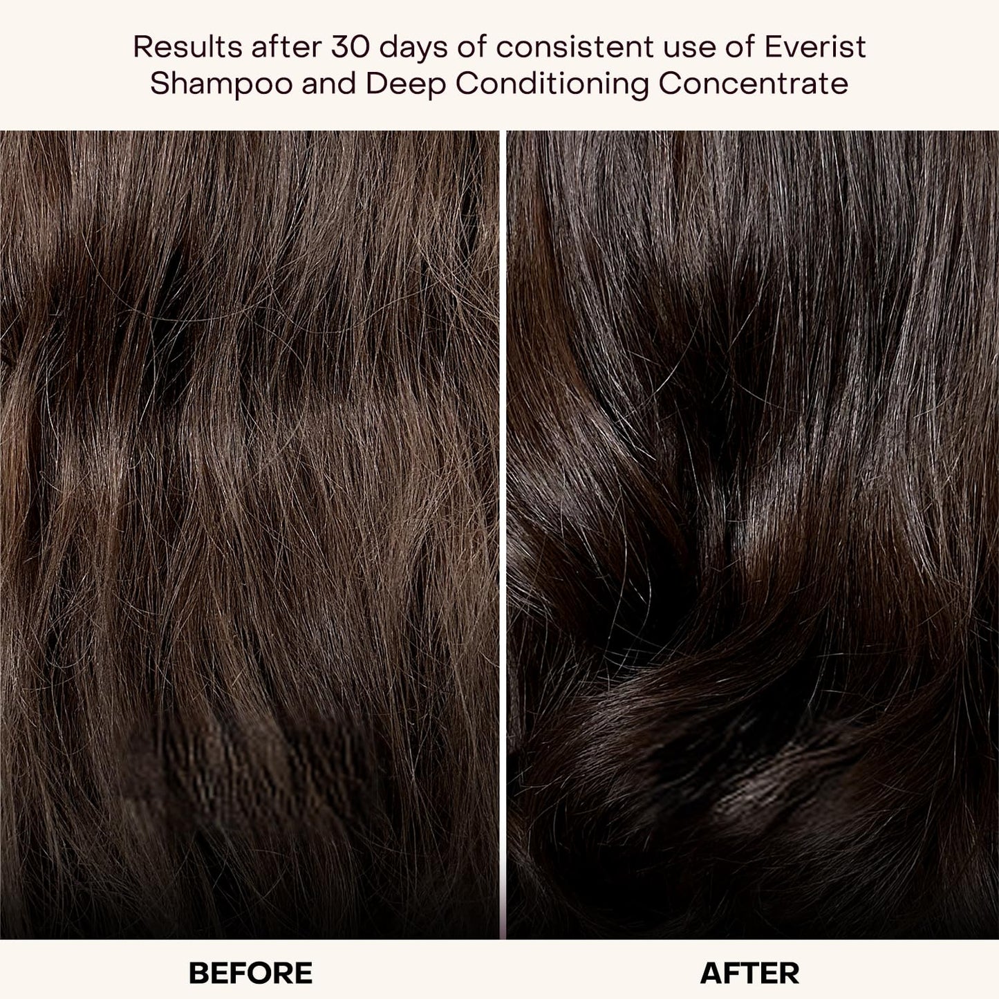 Everist The Haircare Travel Duo, The Shampoo Concentrate & The Deep Conditioning Concentrate, Deep Hydration and Smoothing, Aloe Vera, Paraben & Sulfate Free, Color-Safe, 2 x 0.7 fl oz Set